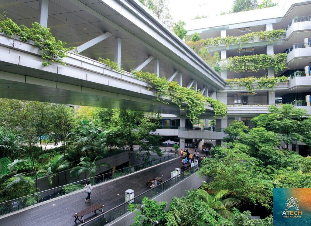biophilic design là gì