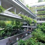 biophilic design là gì