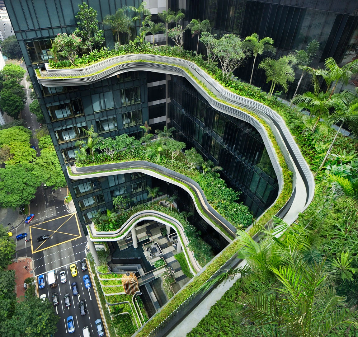 biophilic design là gì - Hình 4