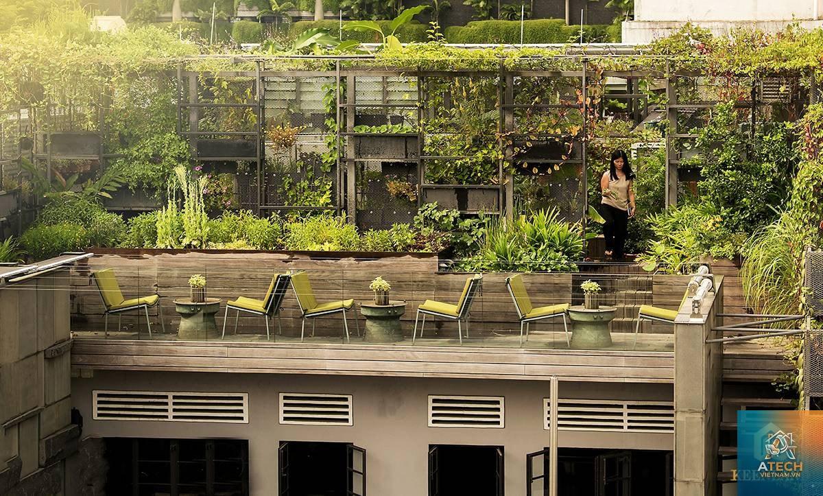 biophilic design là gì - Hình 5