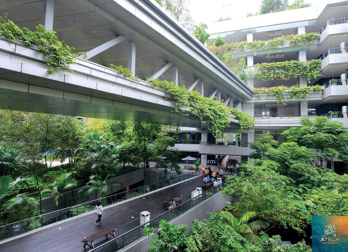 biophilic design là gì - Hình 1