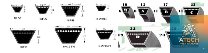 các loại dây đai - Hình 5