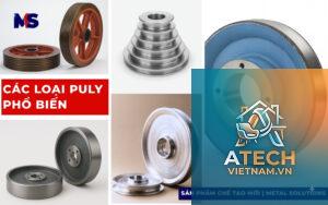 các loại puly