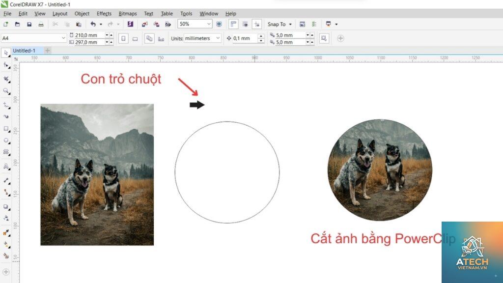 cách cắt hình trong corel x3