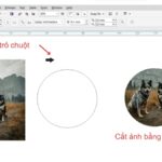 cách cắt hình trong corel x3