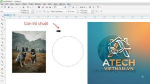 cách cắt hình trong corel x3