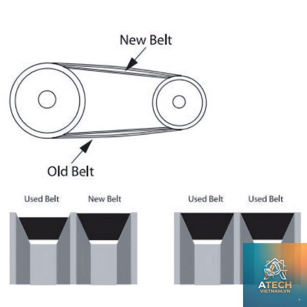 cách lắp dây đai puly