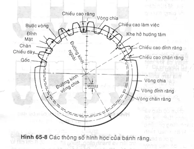 cách tính đường kính bánh răng - Hình 2