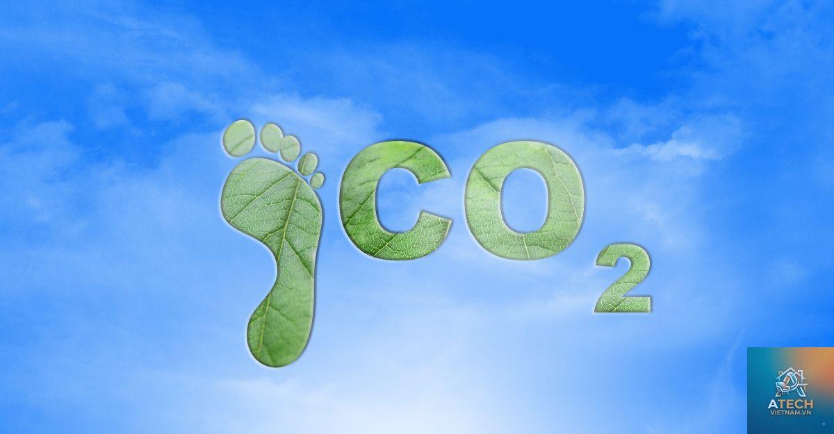 carbon footprint trong nội thất - Hình 5