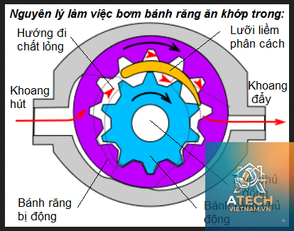 cấu tạo bơm thủy lực - Hình 5