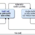 chuỗi cung ứng ngành nội thất