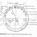 đường kính vòng chia bánh răng