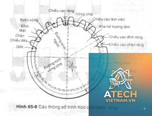 đường kính vòng chia bánh răng