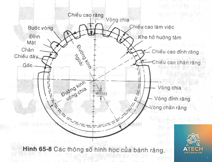 đường kính vòng chia bánh răng