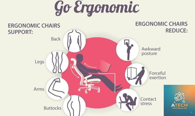 ergonomic là gì