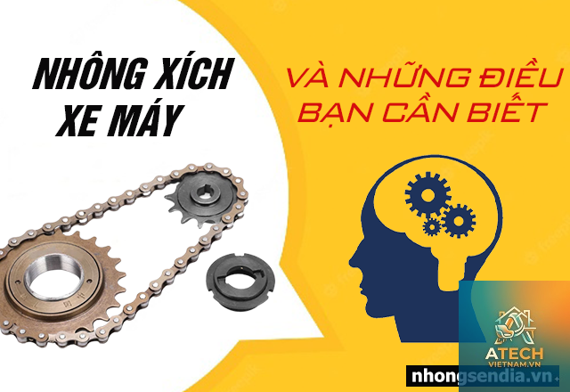 kiến thức về nhông xích - Hình 2