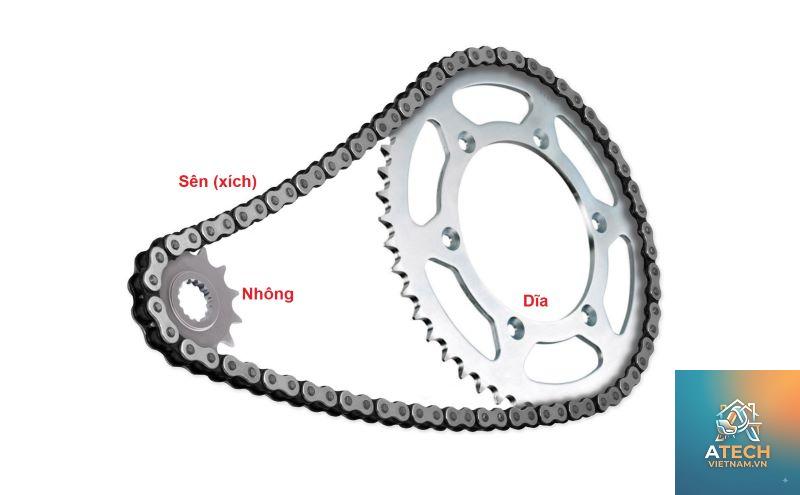 kiến thức về nhông xích - Hình 3