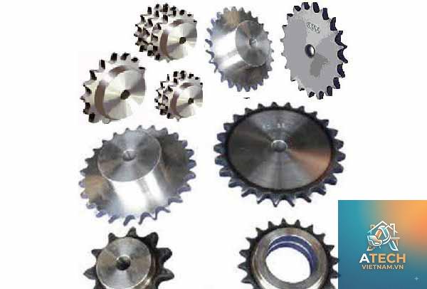 kiến thức về nhông xích