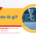 m code là gì