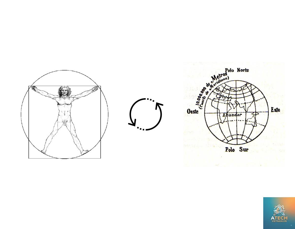 modulor là gì - Hình 4