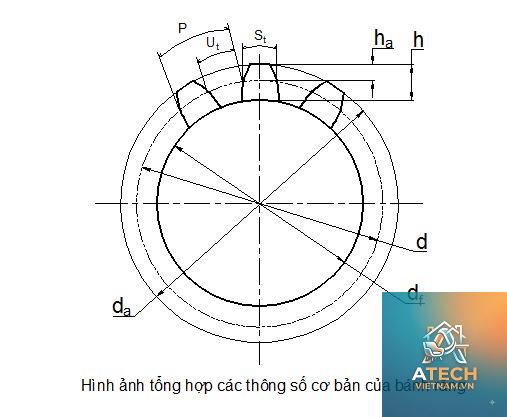 modun bánh răng tiêu chuẩn - Hình 4