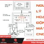 Nguyên lý hoạt động máy CNC: Từ A đến Z cho người mới bắt đầu và chuyên gia nguyên lý hoạt động máy cnc
