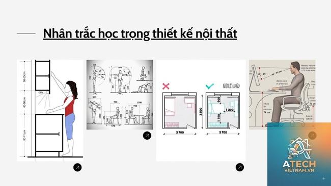 scale trong nội thất là gì