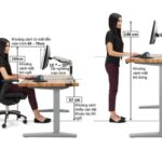 ứng dụng công thái học trong nội thất