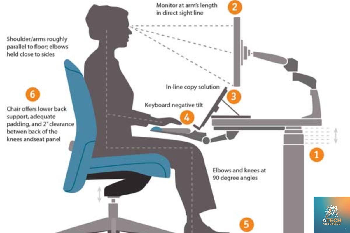ứng dụng công thái học trong nội thất - Hình 4